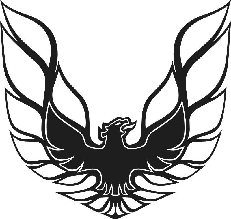 The Trans Am Fire Bird Is Pretty Sick - The Trans Am Fire Bird Is Pretty Sick (800x759)