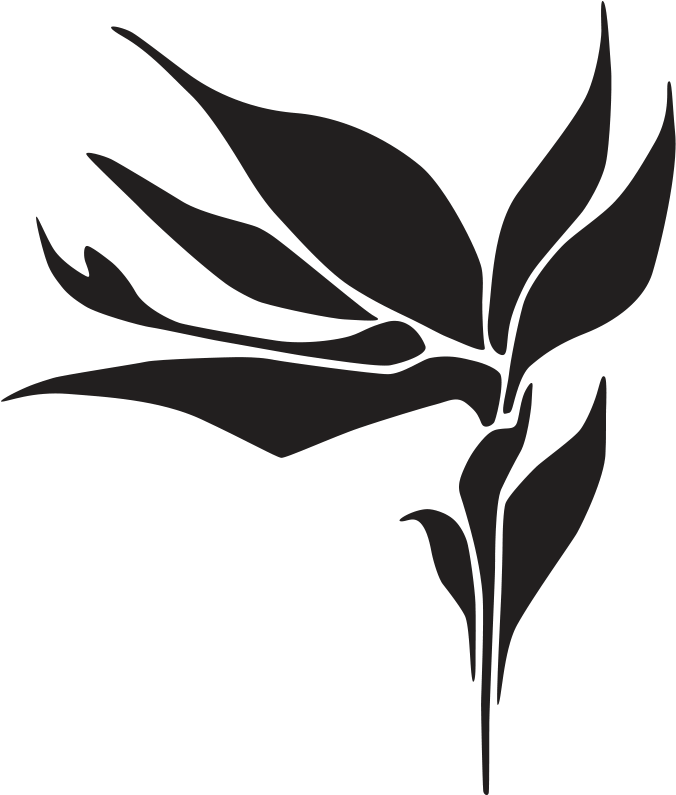 Bird Of Paradise Drawing - Bird Of Paradise Drawing (720x864)