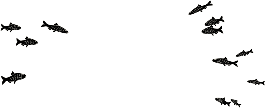 The Mermaid Inn Clipart Stock - The Mermaid Inn Clipart Stock (911x371)