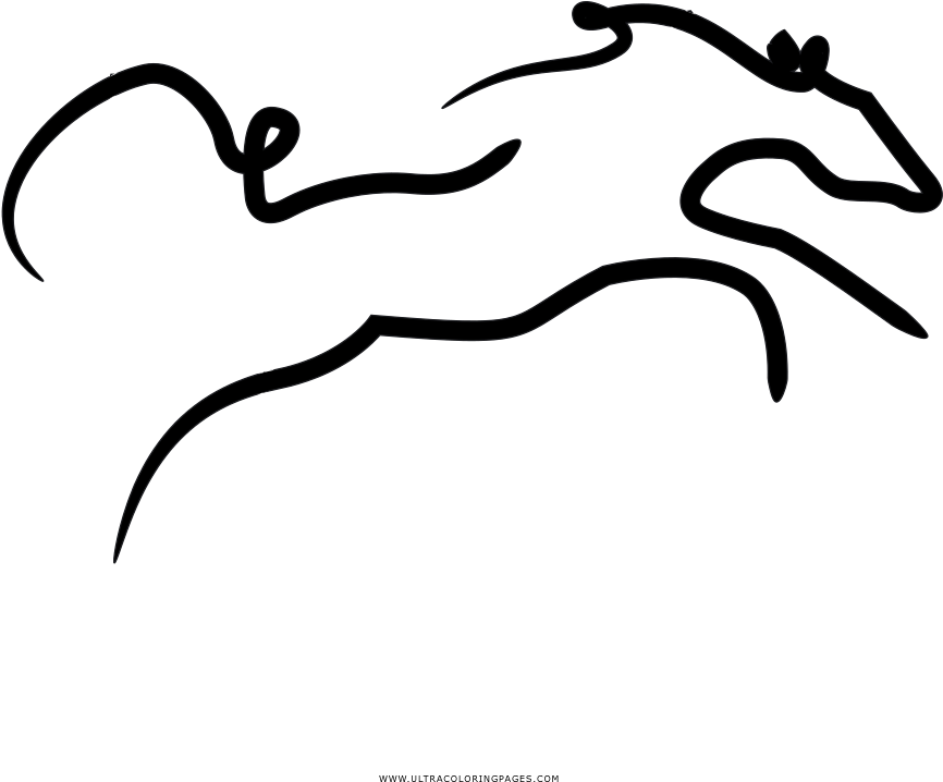 Wild Horse Coloring Page - Wild Horse Coloring Page (1000x1000)