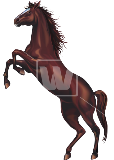 Download High Resolution Image - Download High Resolution Image (367x550)