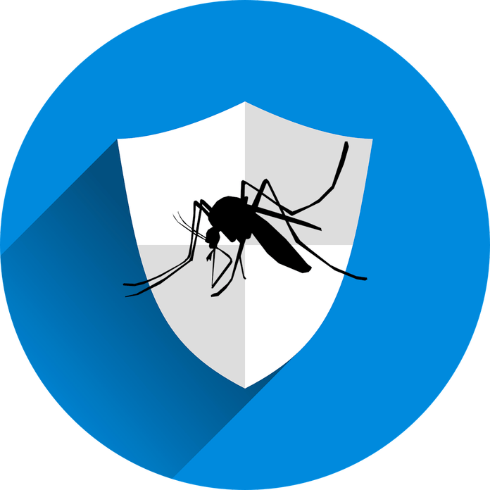 Insects Clipart Mozzie - Insects Clipart Mozzie (696x696)