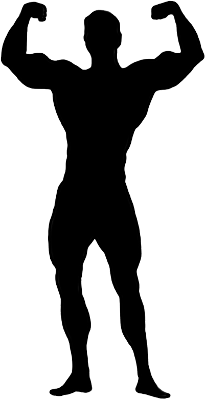 Female Bodybuilding Clip Art - Female Bodybuilding Clip Art (470x915)