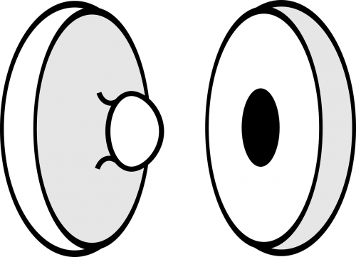 Sumo Wrestling Clip Art (500x362)