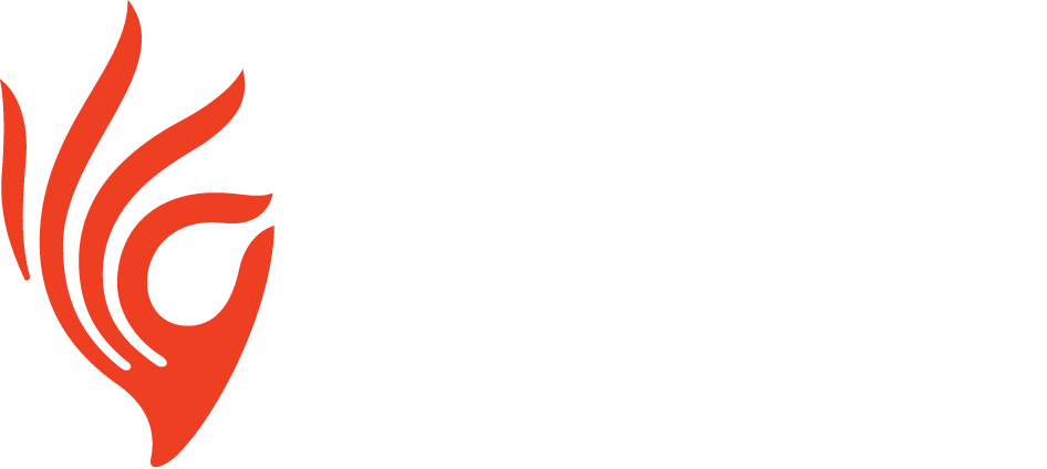 Piramal Critical Care - Piramal Critical Care (946x424)