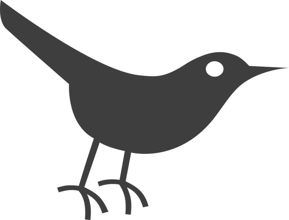 Vector Download Bill Clipart Bird - Vector Download Bill Clipart Bird (946x720)