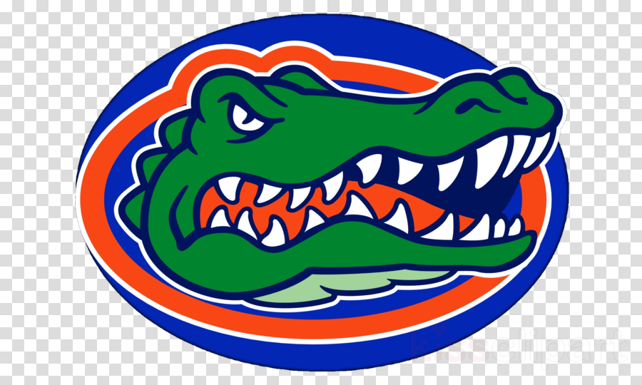 Florida Gators Png Clipart University Of Florida Florida - Florida Gators Png Clipart University Of Florida Florida (900x540)