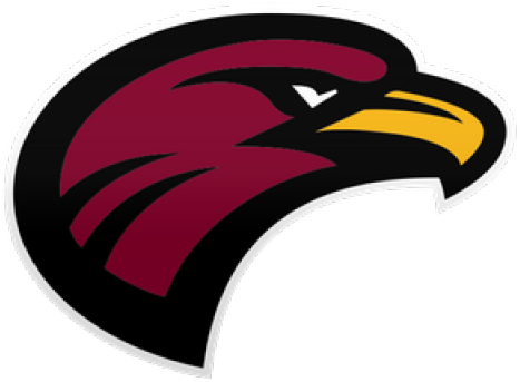 Harris Hawk Clipart Florida - Harris Hawk Clipart Florida (640x480)