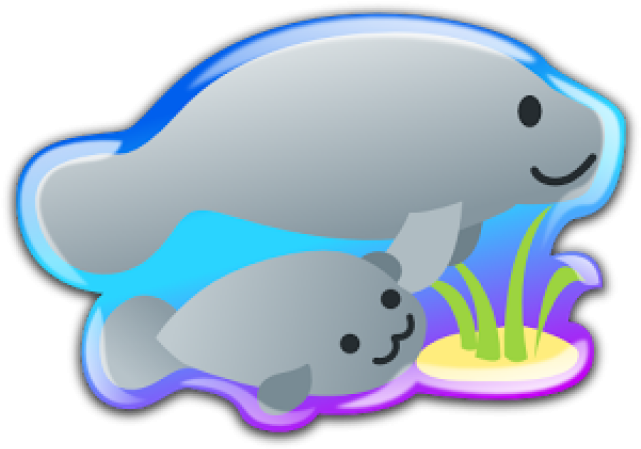 Manatee Clipart Florida - Manatee Clipart Florida (640x480)