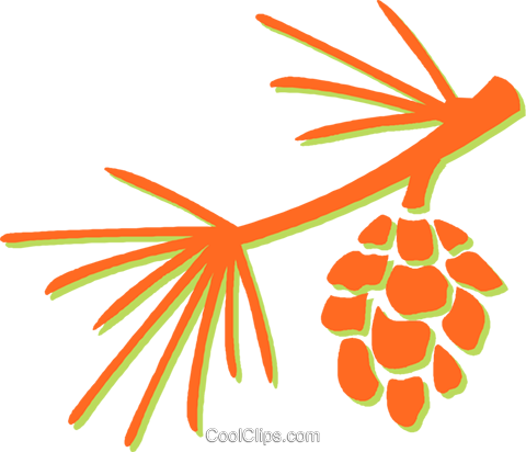 Pine Leaves And Pinecone Royalty Free Vector Clip Art - Pine Leaves And Pinecone Royalty Free Vector Clip Art (480x412)