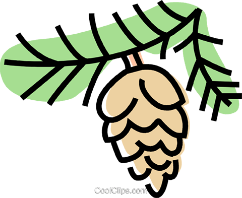 Pinecone Royalty Free Vector Clip Art Illustration - Pinecone Royalty Free Vector Clip Art Illustration (480x393)