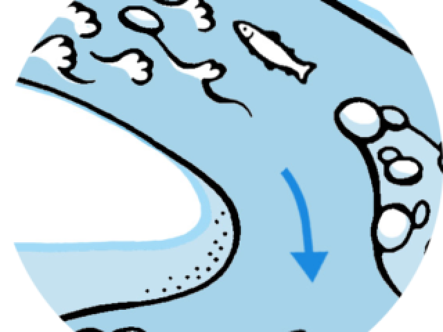 River Landscape Clipart River Bed - River Landscape Clipart River Bed (640x480)