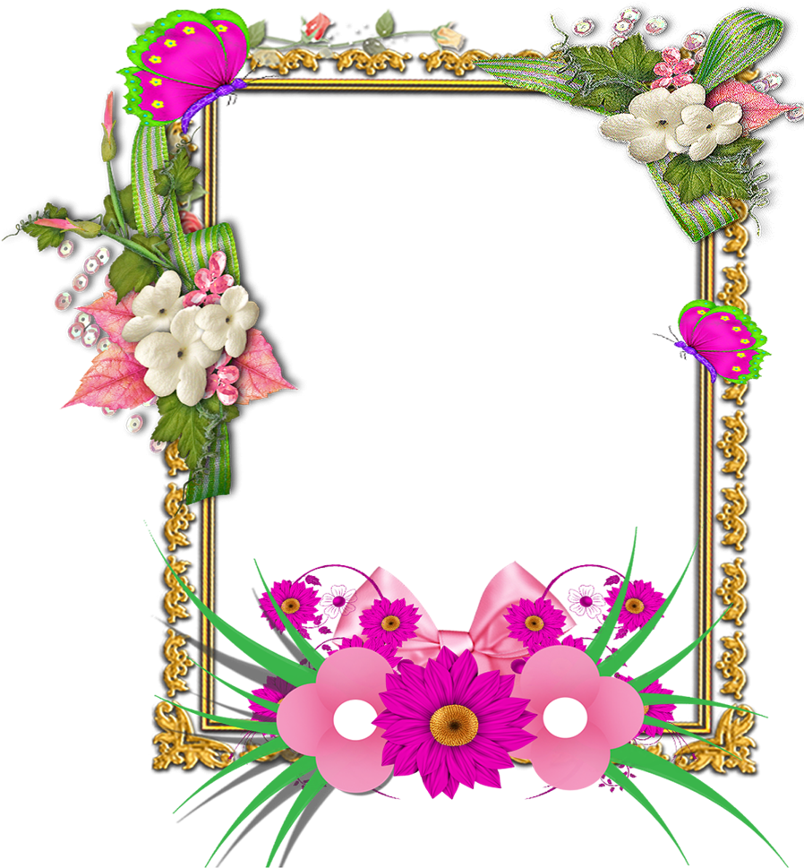 Tropical Background Png - Tropical Background Png (900x1032)