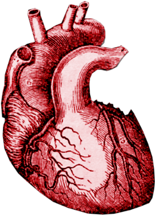 Marie Curie Marie Curie - Marie Curie Marie Curie (420x543)