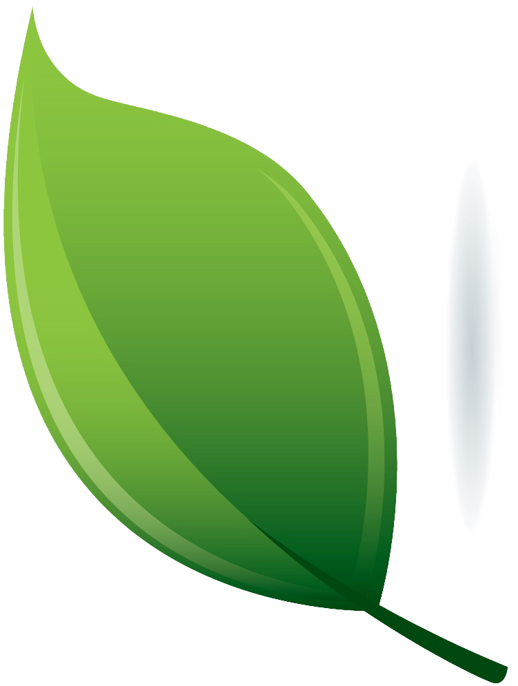 Nothing In Life Is To Be Feared, It Is Only To Be Understood - Nothing In Life Is To Be Feared, It Is Only To Be Understood (752x995)