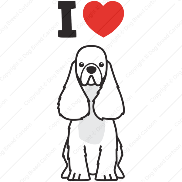 American Cocker Spaniel - American Cocker Spaniel (600x600)