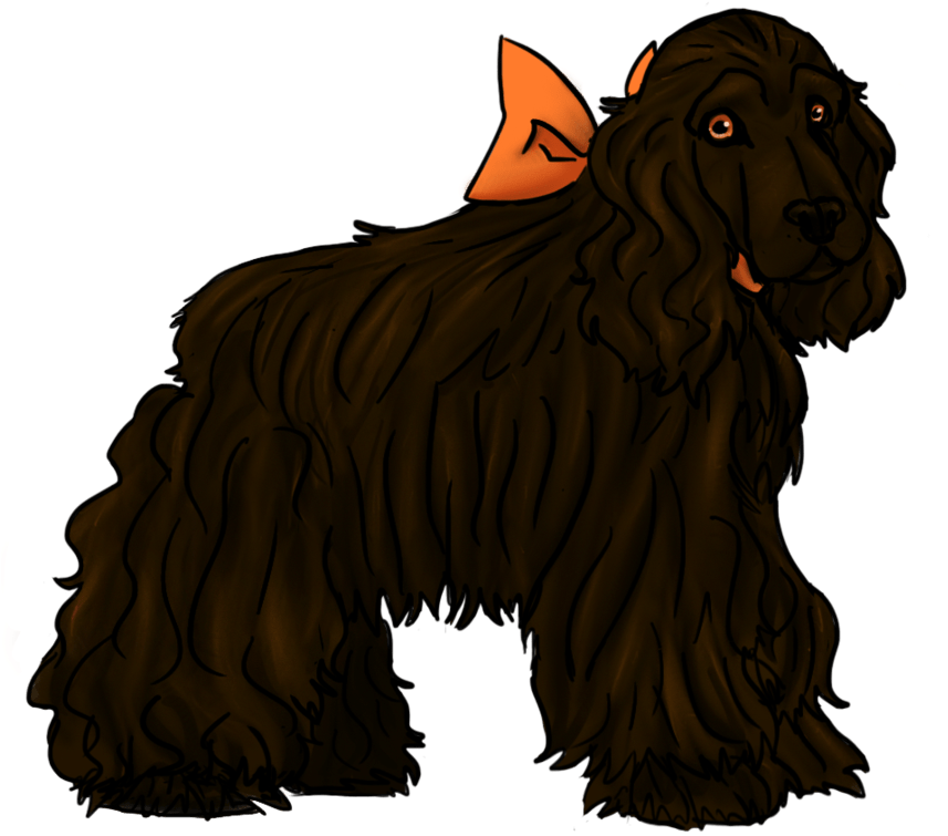 Lady English Cocker Spaniel Clumsyillustrator Deviantart - Lady English Cocker Spaniel Clumsyillustrator Deviantart (894x894)
