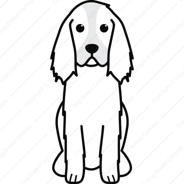 Download Cartoon Springer Spaniel Clipart English Springer - Download Cartoon Springer Spaniel Clipart English Springer (600x600)