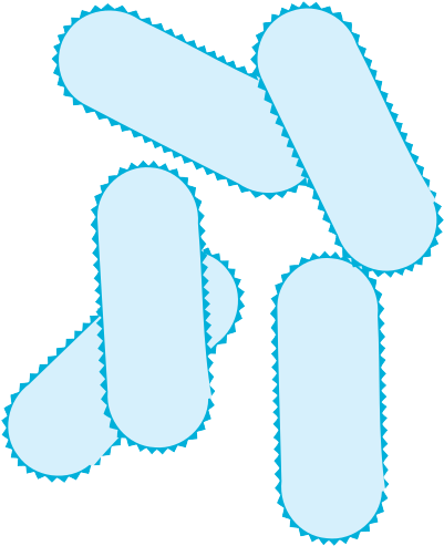 Bacteria Png Picture - Bacteria Png Picture (408x500)