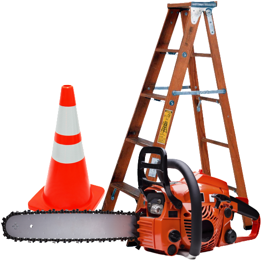 Storm Cleanup - Storm Cleanup (535x572)