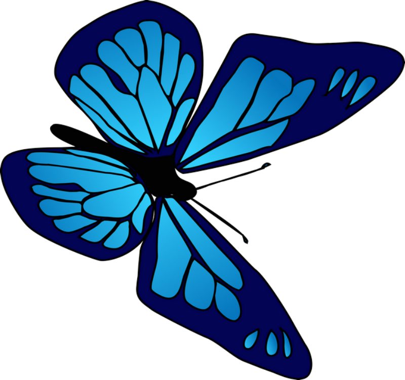 0 D3366 59bf0982 Orig Butterfly Clip Art, Butterflies, - 0 D3366 59bf0982 Orig Butterfly Clip Art, Butterflies, (800x751)