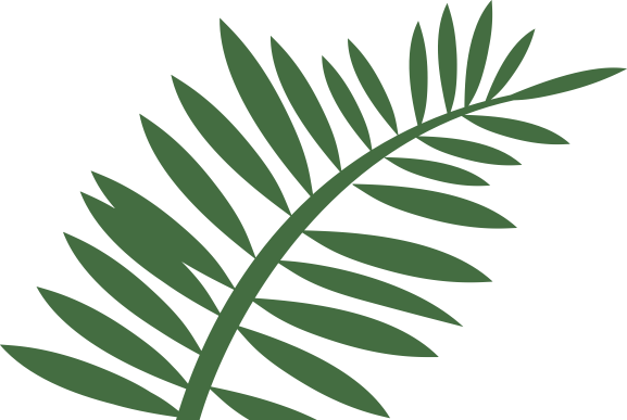 Fern Clipart Leaf Accent - Fern Clipart Leaf Accent (577x387)