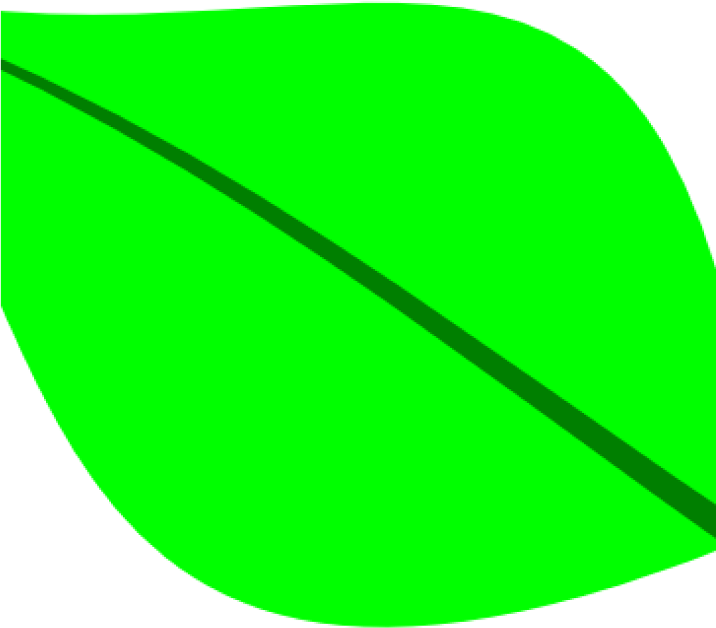Green Leaf Clipart Green Leaf Clip Art At Clker Vector - Green Leaf Clipart Green Leaf Clip Art At Clker Vector (1024x1024)