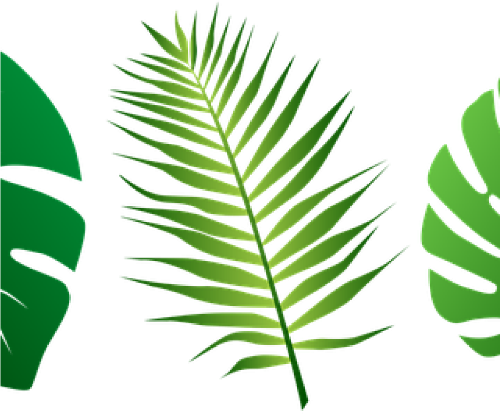 Jungle Leaves Clipart 19 Jungle Leaf Svg Black And - Jungle Leaves Clipart 19 Jungle Leaf Svg Black And (1024x1024)