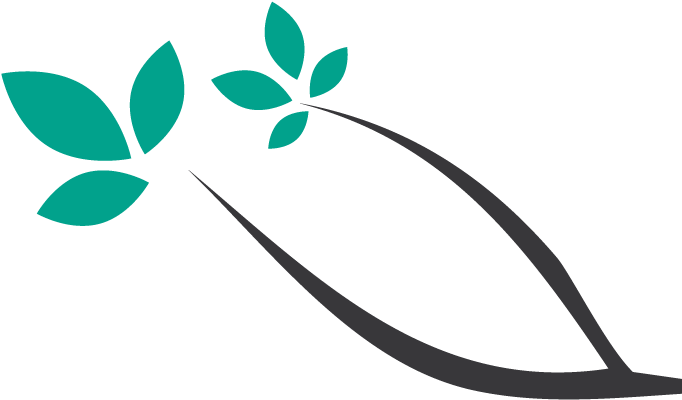 Bella Italia Genealogy Claim Service Page - Bella Italia Genealogy Claim Service Page (700x500)