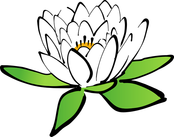 Lotus, Flower, Water Lily - Lotus, Flower, Water Lily (610x480)