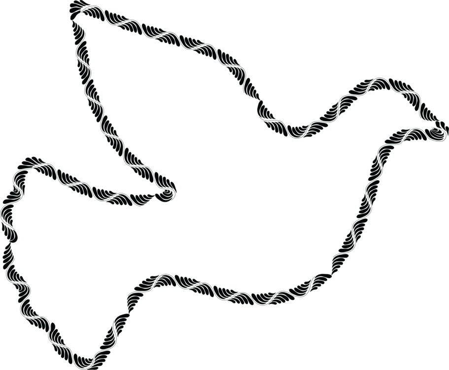 All Photo Png Clipart - All Photo Png Clipart (911x750)