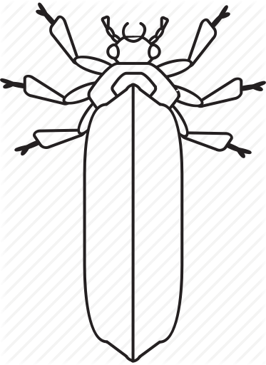 Black And White Bugs - Black And White Bugs (373x512)
