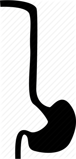 Esophageal Throat Cancer By - Esophageal Throat Cancer By (247x512)