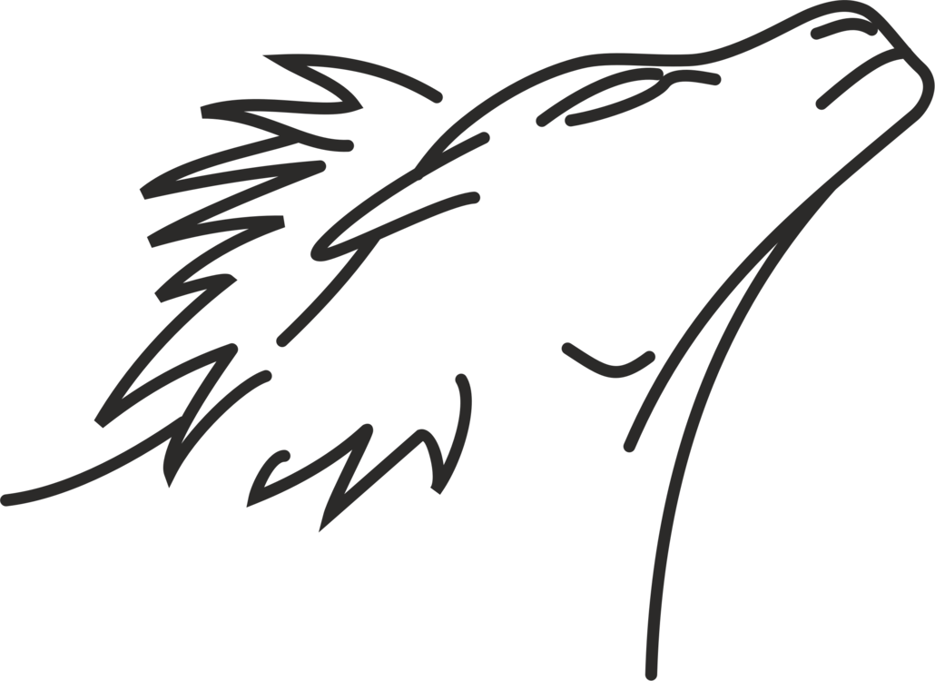 Lion Line Art Drawing Roar - Lion Line Art Drawing Roar (1030x750)