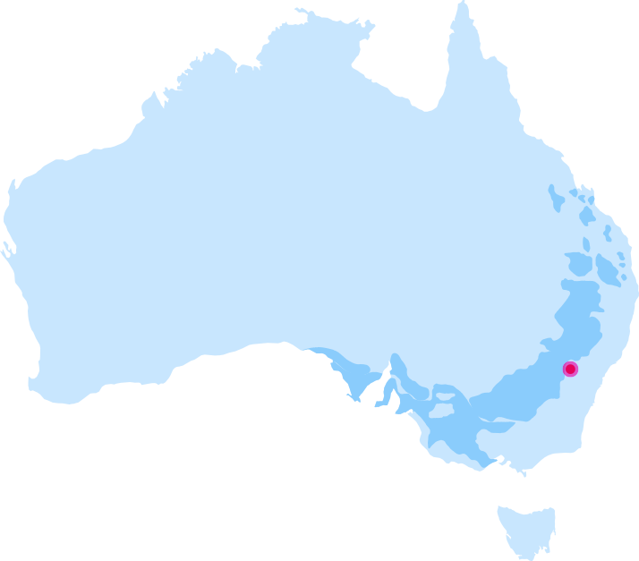 Australian Wheat Growing Region - Australian Wheat Growing Region (714x627)