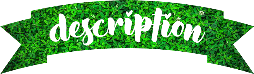 Sue Style Penthouse By Ellie High Heels - Sue Style Penthouse By Ellie High Heels (940x355)