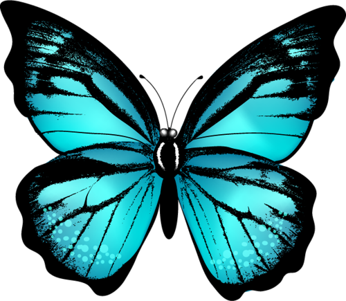 Butterfly Live, Wood Butterfly, Butterfly Project, - Butterfly Live, Wood Butterfly, Butterfly Project, (500x435)