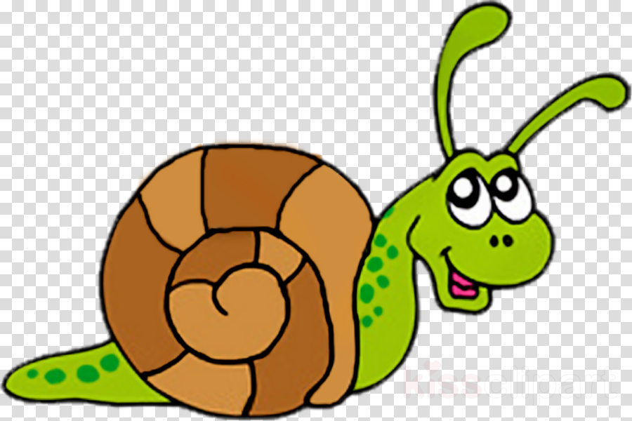 Snail Clip Art Clipart Snail Clip Art - Snail Clip Art Clipart Snail Clip Art (900x600)