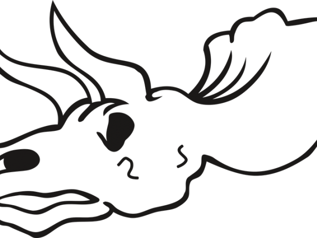 Triceratops Clipart Skeleton - Triceratops Clipart Skeleton (640x480)