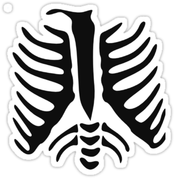 Skeleton Clipart Skeleton Skull Clip Art - Skeleton Clipart Skeleton Skull Clip Art (375x360)