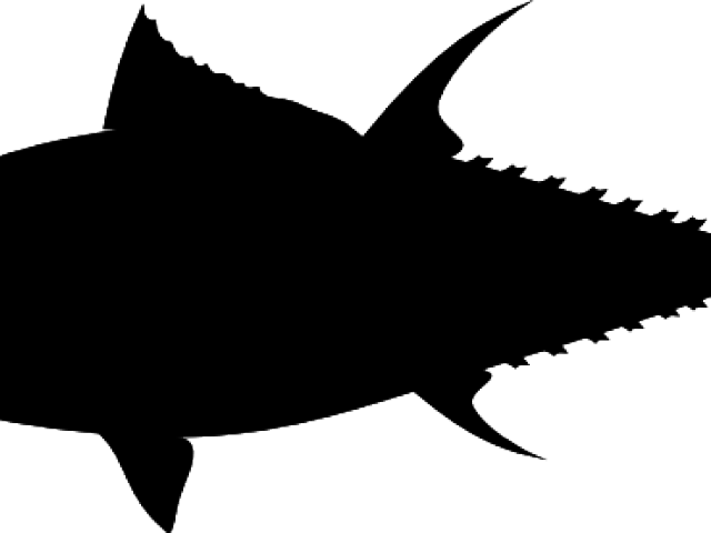 Tuna Clipart Skeleton - Tuna Clipart Skeleton (640x480)