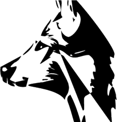 Lobos En Bolos - Lobos En Bolos (400x400)