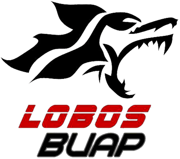 Lobos Buap Lobos Buap Conadeipfba - Lobos Buap Lobos Buap Conadeipfba (600x532)
