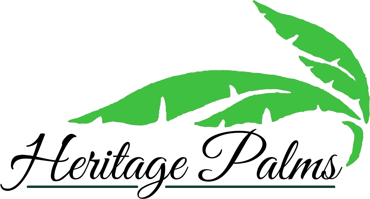 Skip To Content - Skip To Content (1253x682)