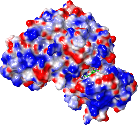 Embracing The Molecular Jiggle - Embracing The Molecular Jiggle (444x402)