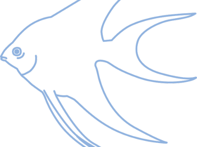 Angelfish Clipart Simple - Angelfish Clipart Simple (640x480)