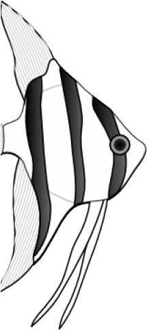 Angelfish Clipart Large Fish - Angelfish Clipart Large Fish (640x480)