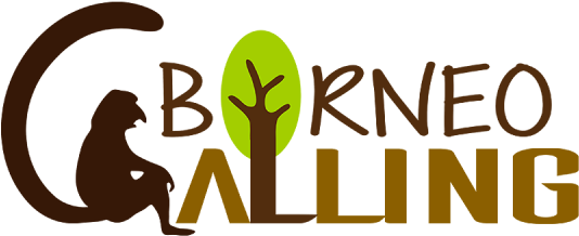 6 088 738 788 Info@borneocalling - 6 088 738 788 Info@borneocalling (600x256)