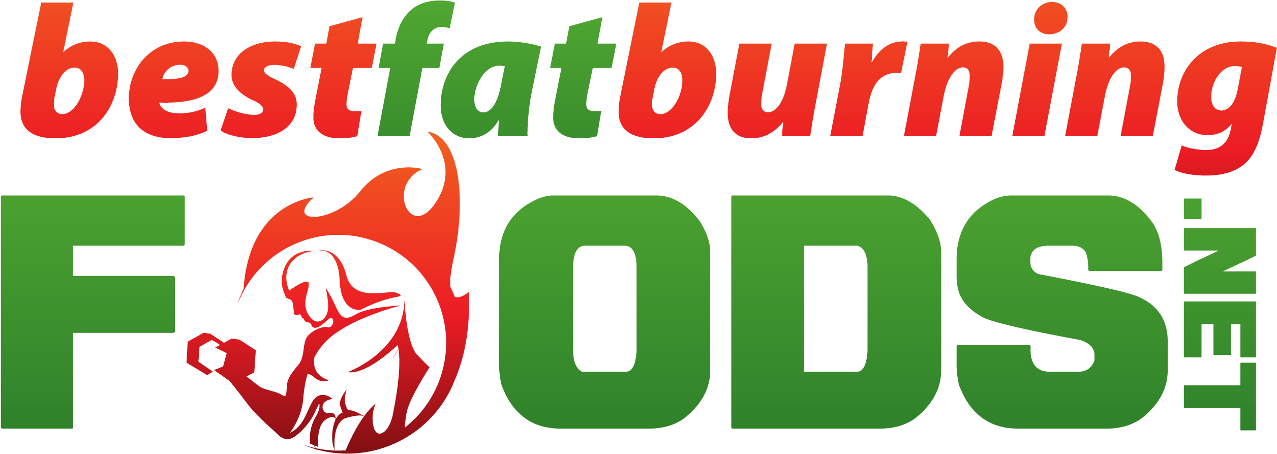 Best Fat Burning Foods - Best Fat Burning Foods (2683x984)
