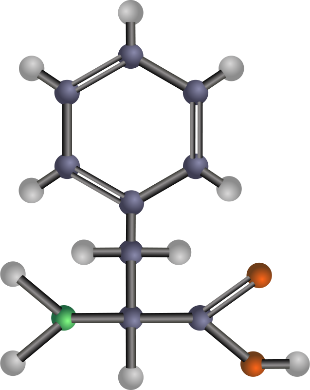 Free Phenylalanine - Free Phenylalanine (637x800)